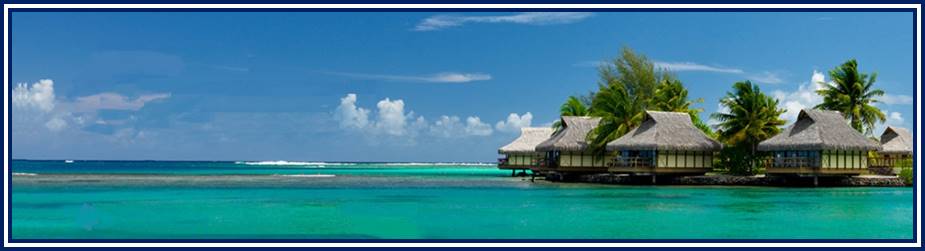 Island Paradise