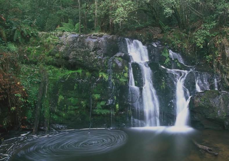 Minnamurra Falls